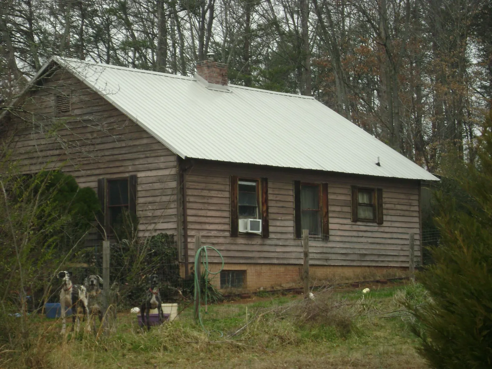 White metal roof on an old wood sided farmhouse, from a Asphalt Shingle Roof Repair job in Little Cedar